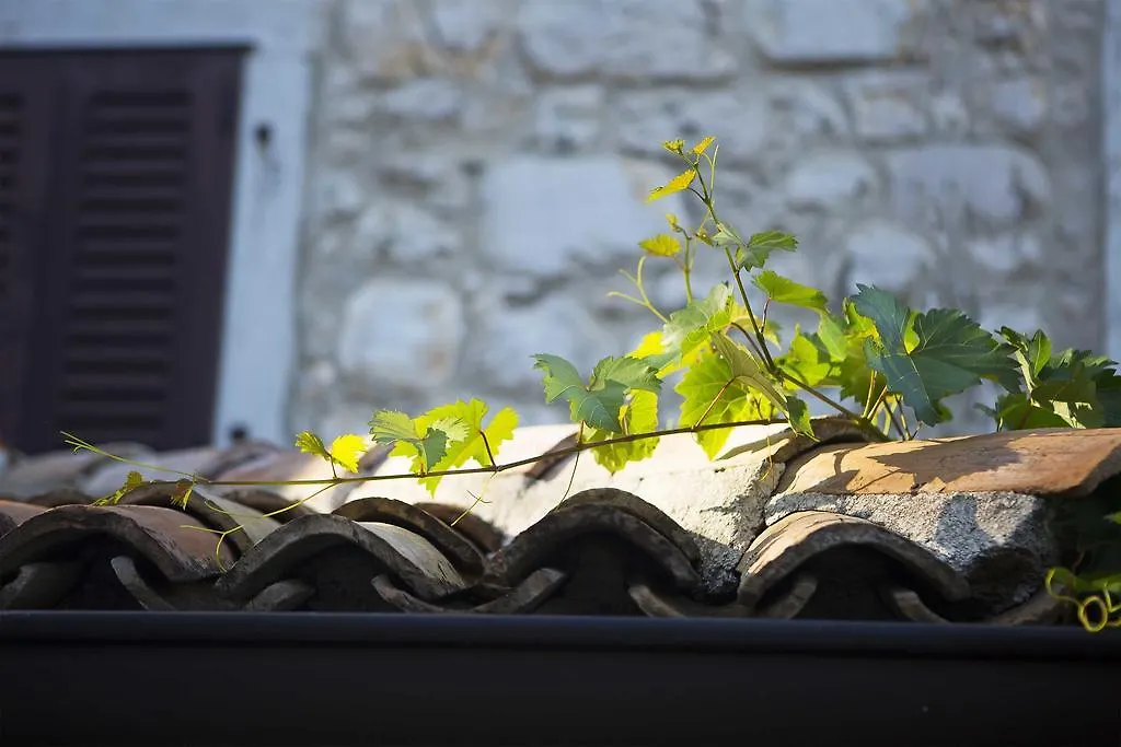 Boutique Hotel Paradiso contacts